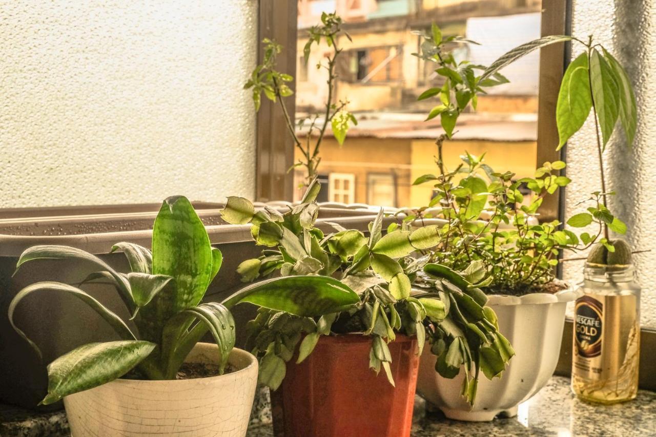 Dora Hostel 달랏 외부 사진